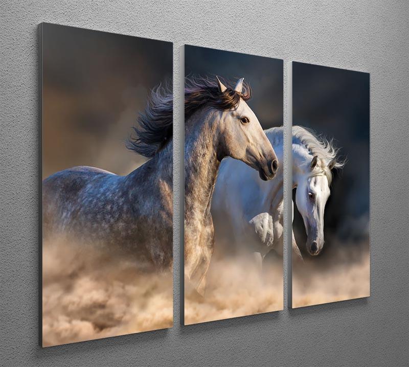 Couple of horse run in dust at sunset light 3 Split Panel Canvas Print - Canvas Art Rocks - 2