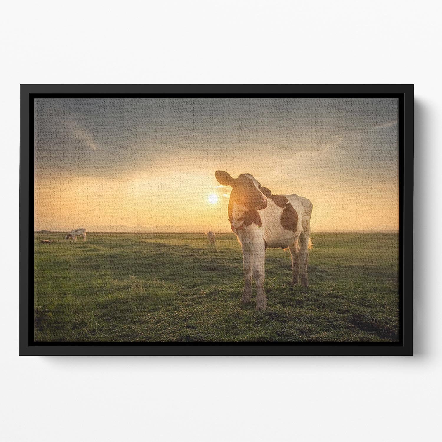 Cow Floating Framed Canvas - Canvas Art Rocks - 2