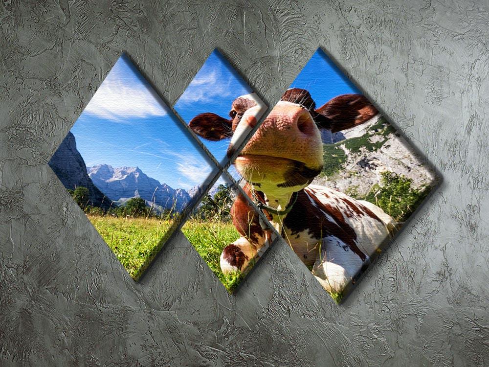Cows at the karwendel mountains in austria 4 Square Multi Panel Canvas - Canvas Art Rocks - 2