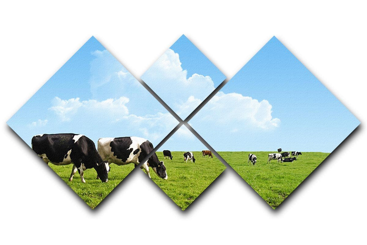 Cows grazing on a farm 4 Square Multi Panel Canvas - Canvas Art Rocks - 1