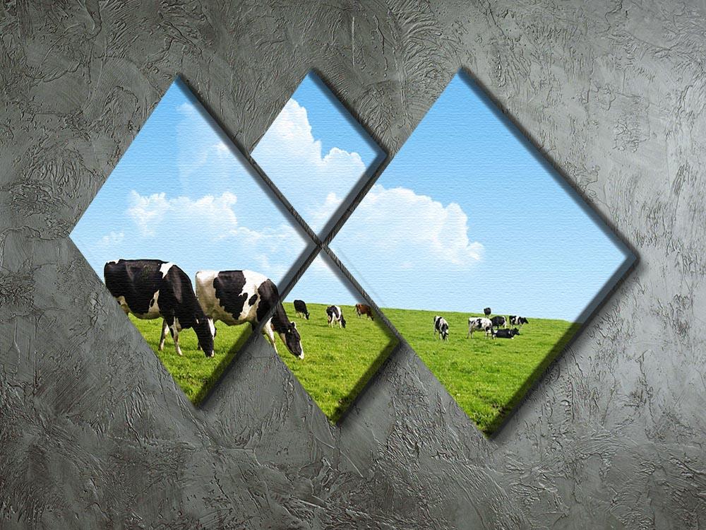 Cows grazing on a farm 4 Square Multi Panel Canvas - Canvas Art Rocks - 2