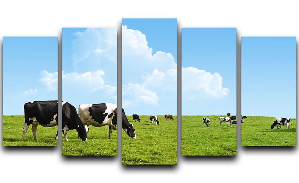 Cows grazing on a farm 5 Split Panel Canvas - Canvas Art Rocks - 1