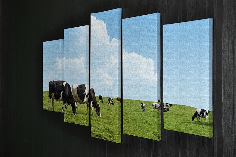 Cows grazing on a farm 5 Split Panel Canvas - Canvas Art Rocks - 2