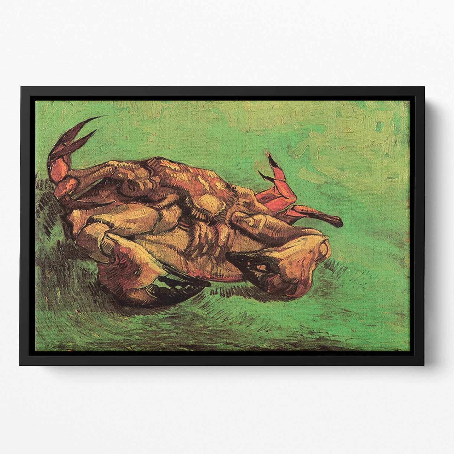 Crab on Its Back by Van Gogh Floating Framed Canvas