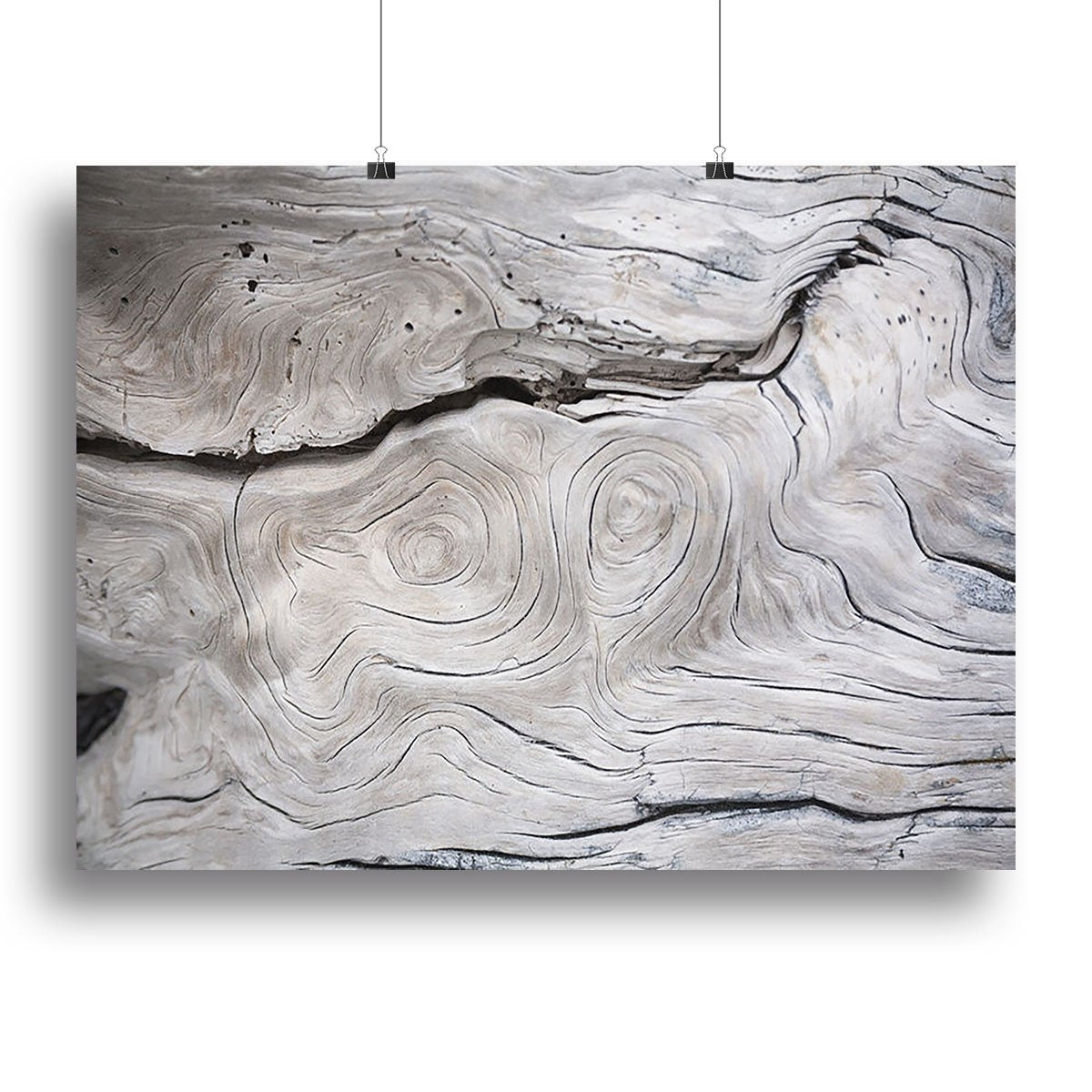 Cracks and structures in wood Canvas Print or Poster