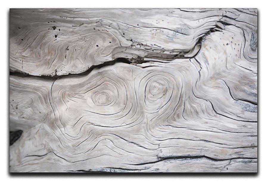 Cracks and structures in wood Canvas Print or Poster - Canvas Art Rocks - 1