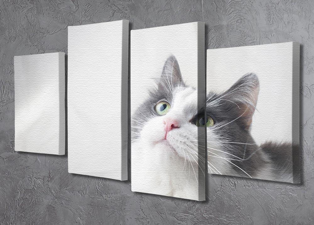 Curious cat looking up 4 Split Panel Canvas - Canvas Art Rocks - 2
