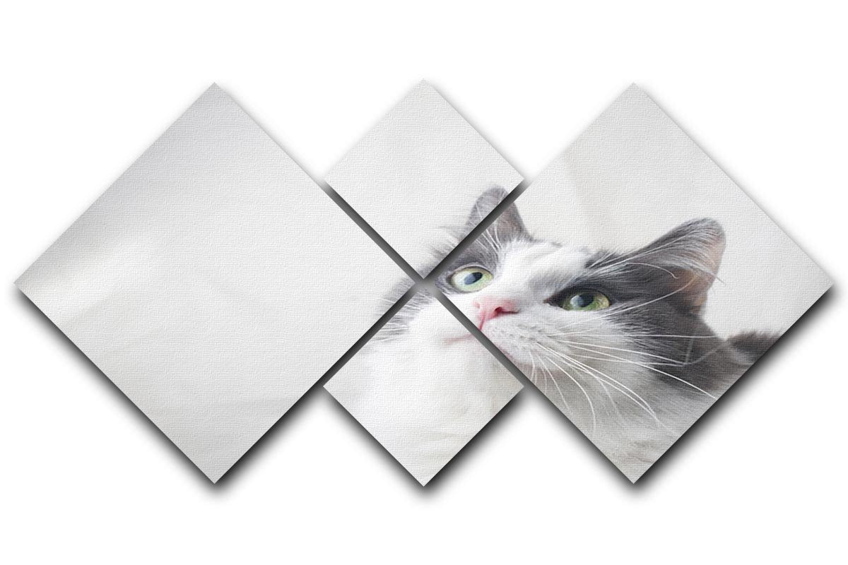 Curious cat looking up 4 Square Multi Panel Canvas - Canvas Art Rocks - 1