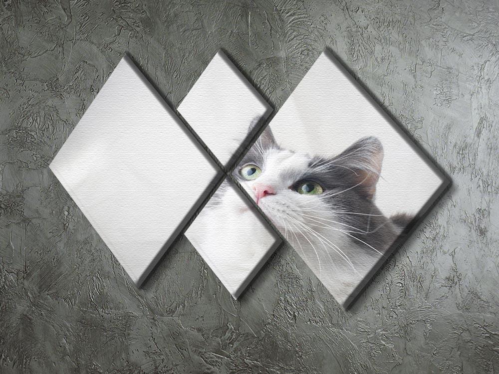 Curious cat looking up 4 Square Multi Panel Canvas - Canvas Art Rocks - 2