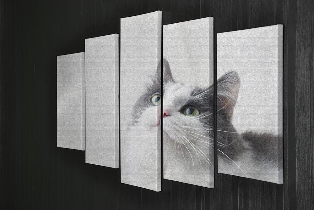 Curious cat looking up 5 Split Panel Canvas - Canvas Art Rocks - 2