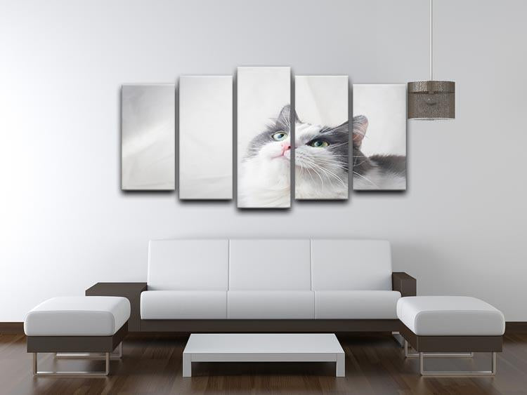 Curious cat looking up 5 Split Panel Canvas - Canvas Art Rocks - 3