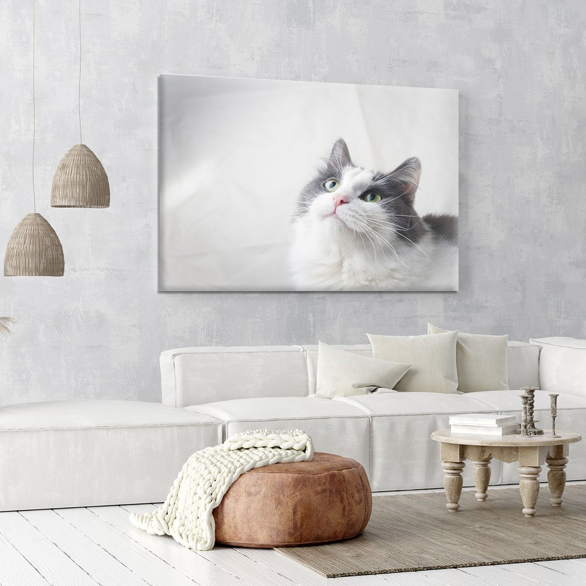 Curious cat looking up Canvas Print or Poster