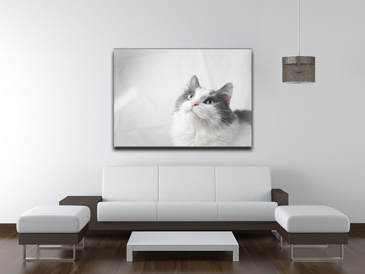 Curious cat looking up Canvas Print or Poster - Canvas Art Rocks - 4