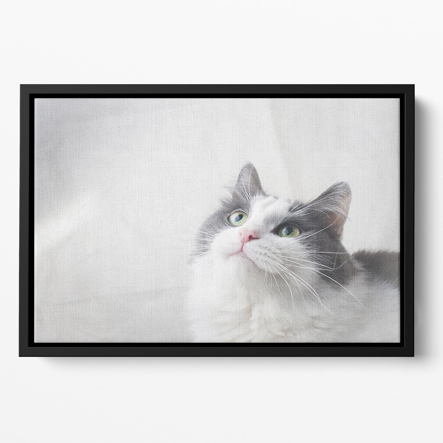Curious cat looking up Floating Framed Canvas - Canvas Art Rocks - 2
