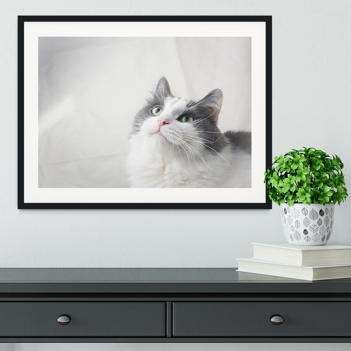 Curious cat looking up Framed Print - Canvas Art Rocks - 1