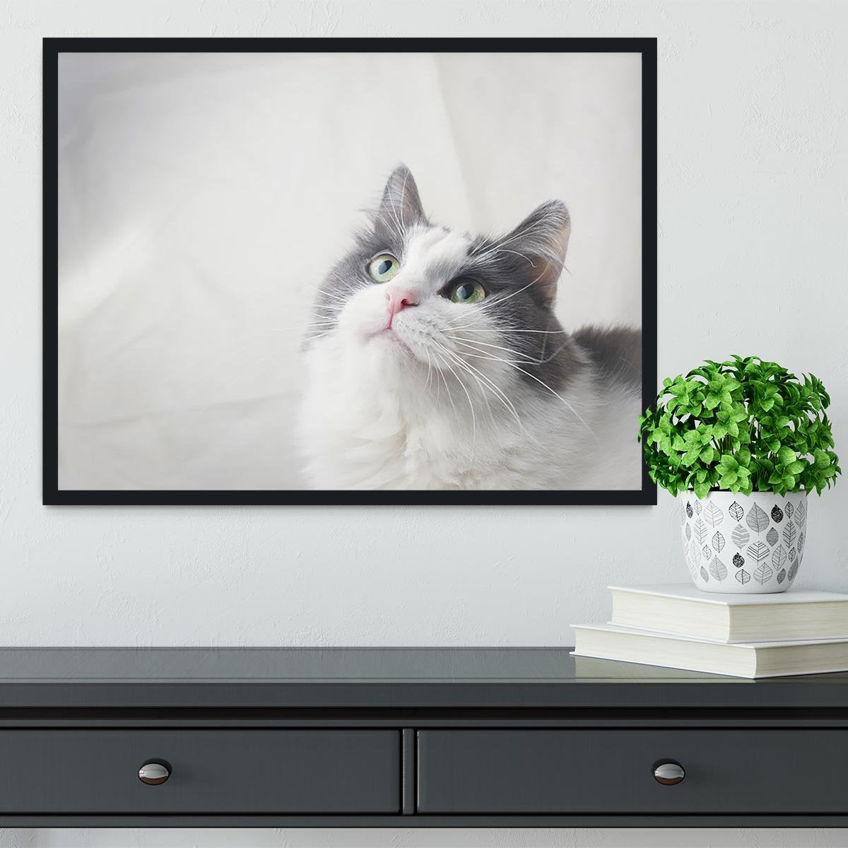 Curious cat looking up Framed Print - Canvas Art Rocks - 2