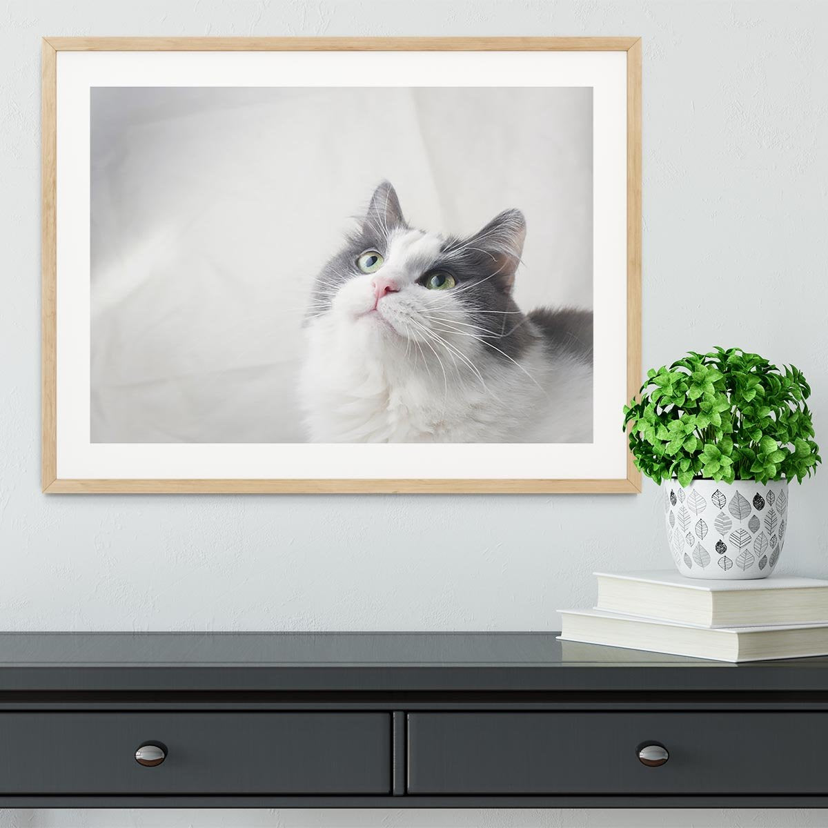 Curious cat looking up Framed Print - Canvas Art Rocks - 3