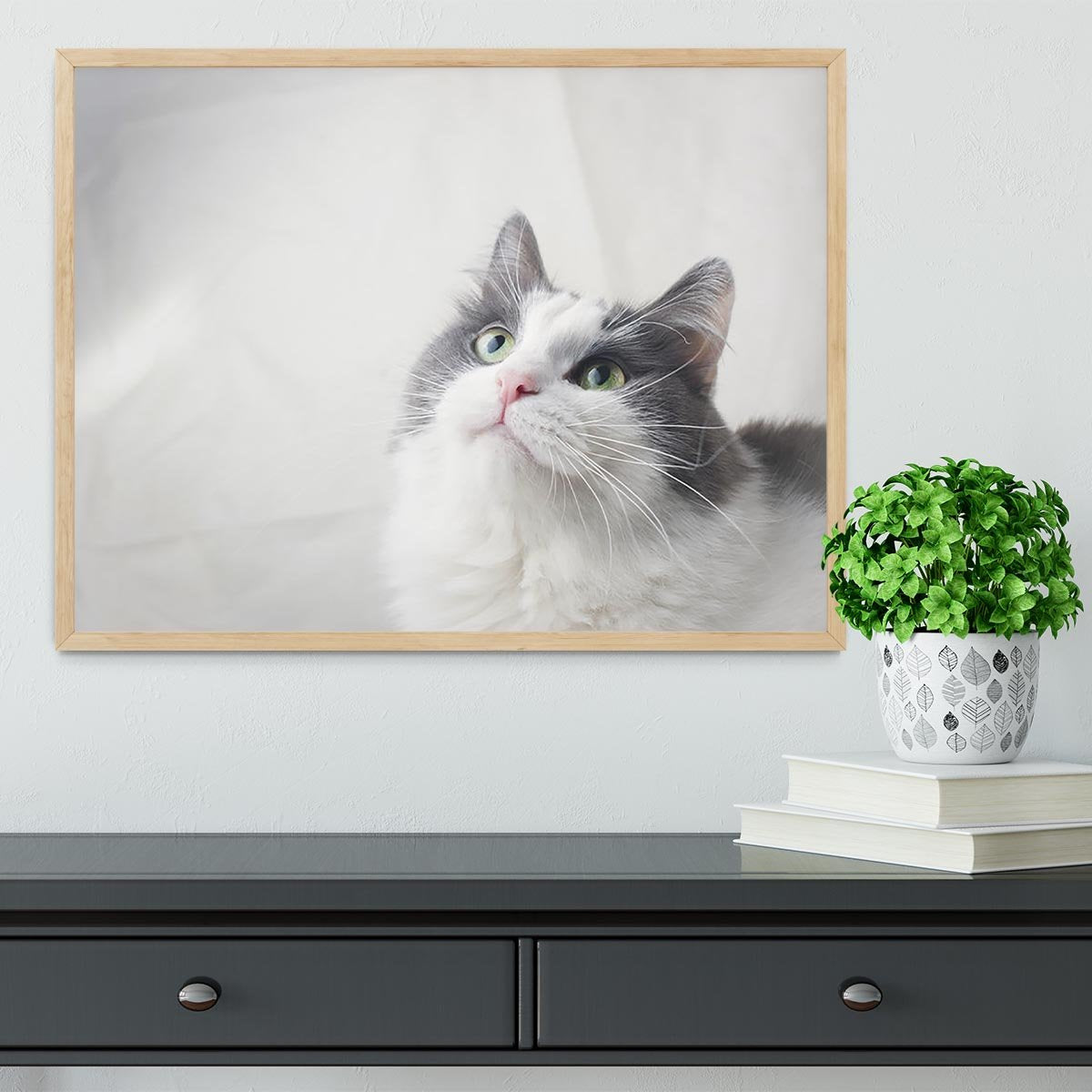 Curious cat looking up Framed Print - Canvas Art Rocks - 4