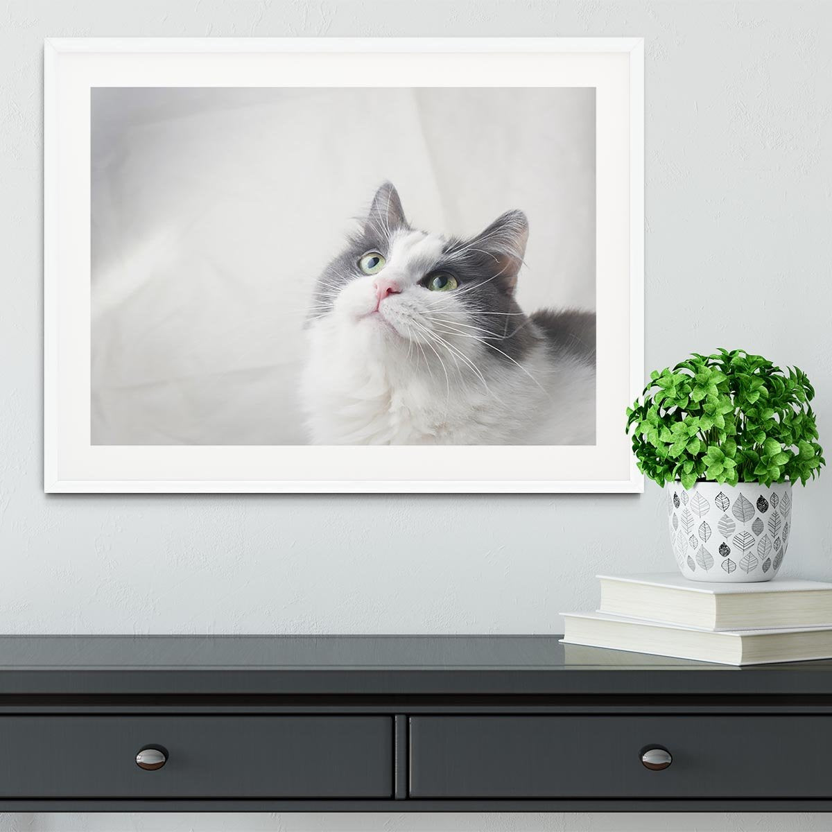 Curious cat looking up Framed Print - Canvas Art Rocks - 5