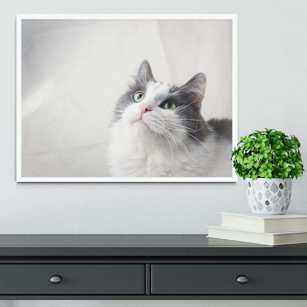 Curious cat looking up Framed Print - Canvas Art Rocks -6