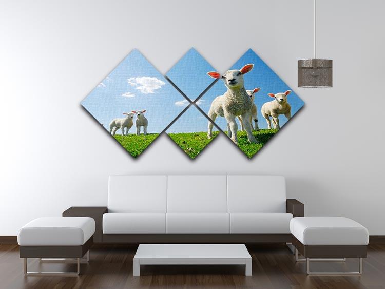 Curious lambs looking at the camera in spring 4 Square Multi Panel Canvas - Canvas Art Rocks - 3