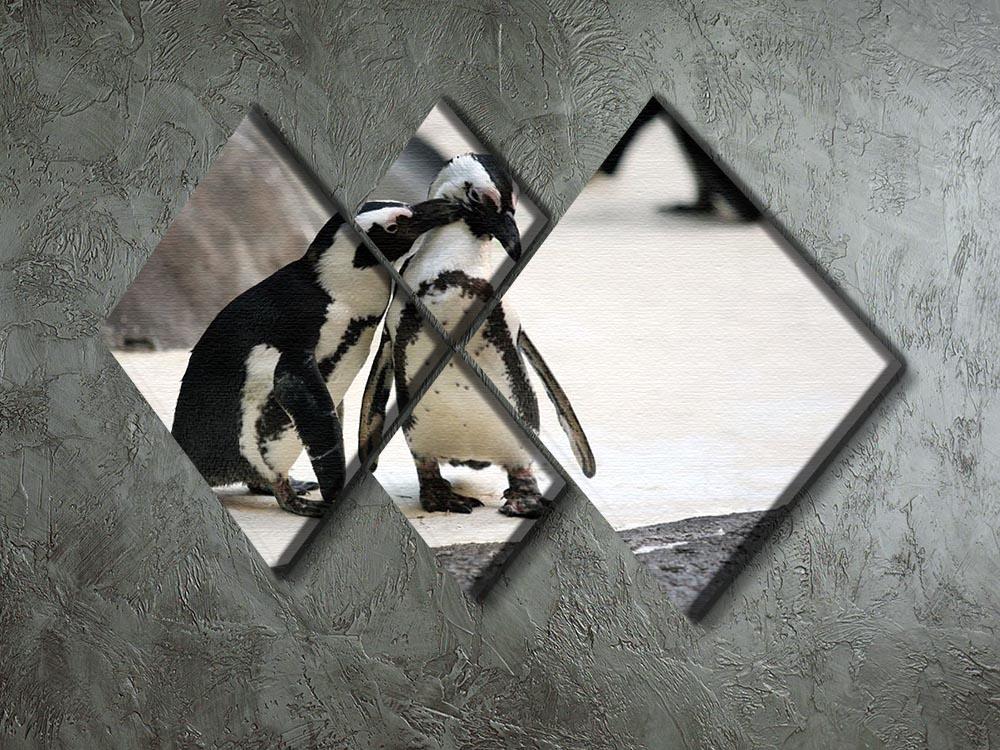 Cute affectionate penguin couple at the zoo 4 Square Multi Panel Canvas - Canvas Art Rocks - 2
