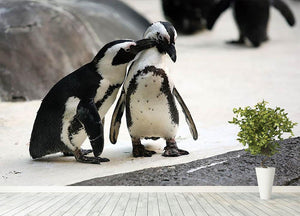 Cute affectionate penguin couple at the zoo Wall Mural Wallpaper - Canvas Art Rocks - 4