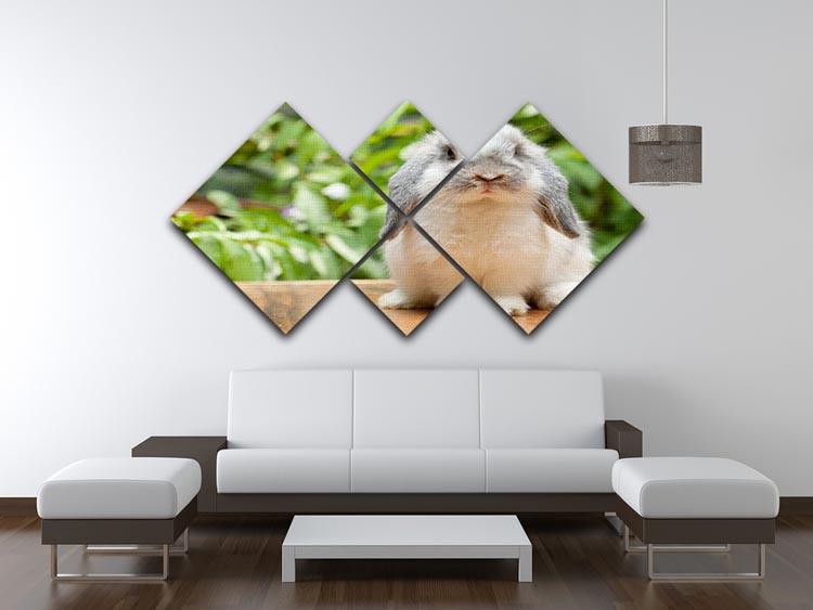 Cute holland lop rabbit 4 Square Multi Panel Canvas - Canvas Art Rocks - 3