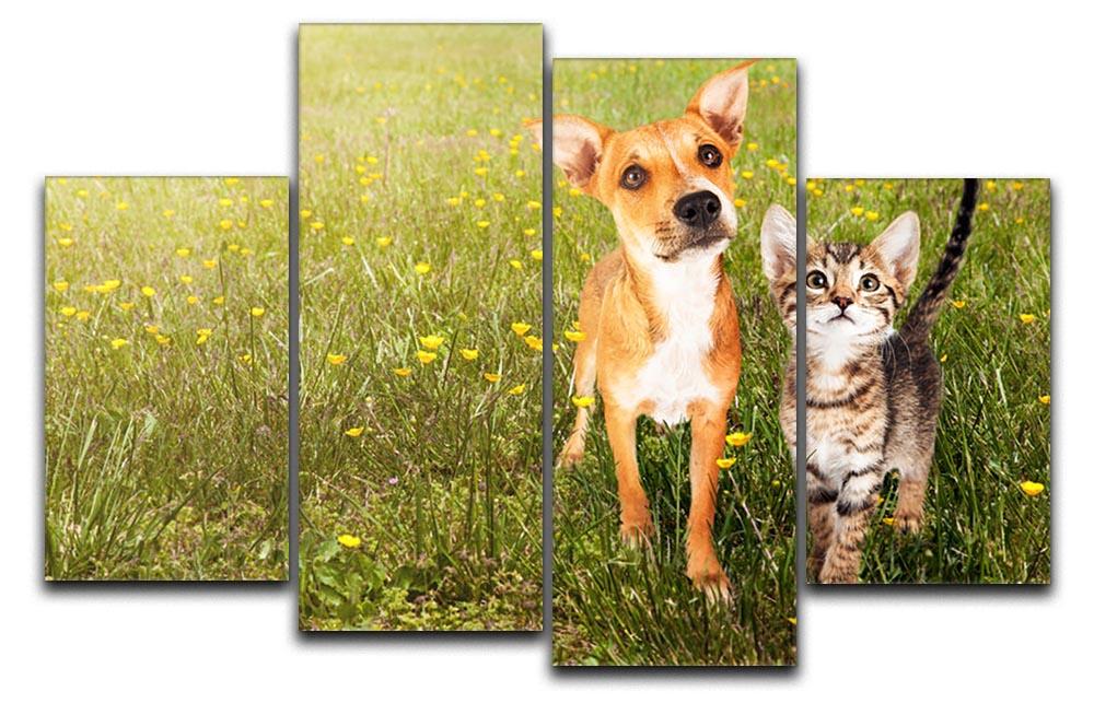 Cute kitten and puppy together in a field 4 Split Panel Canvas - Canvas Art Rocks - 1