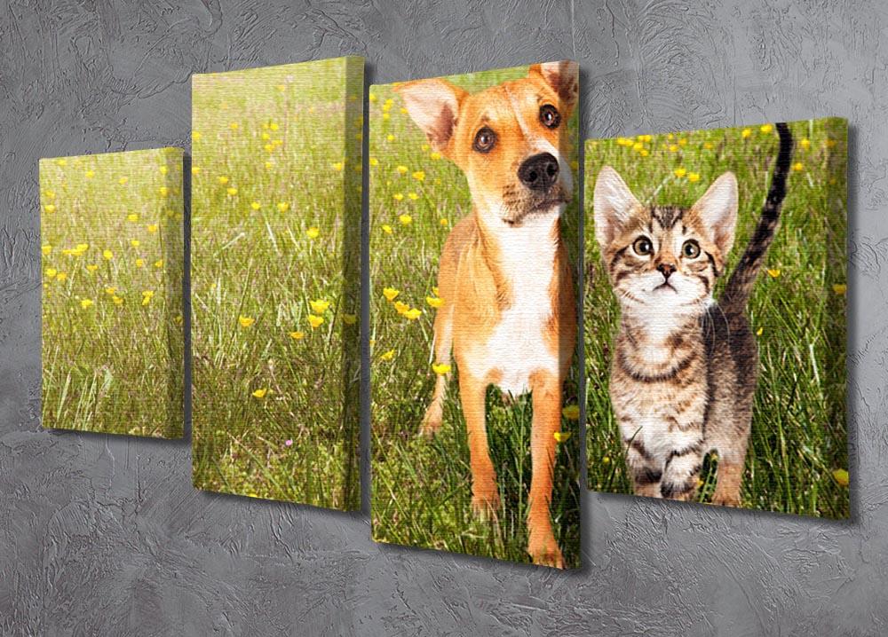 Cute kitten and puppy together in a field 4 Split Panel Canvas - Canvas Art Rocks - 2
