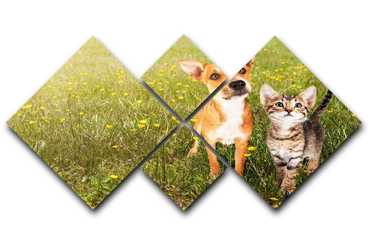 Cute kitten and puppy together in a field 4 Square Multi Panel Canvas - Canvas Art Rocks - 1