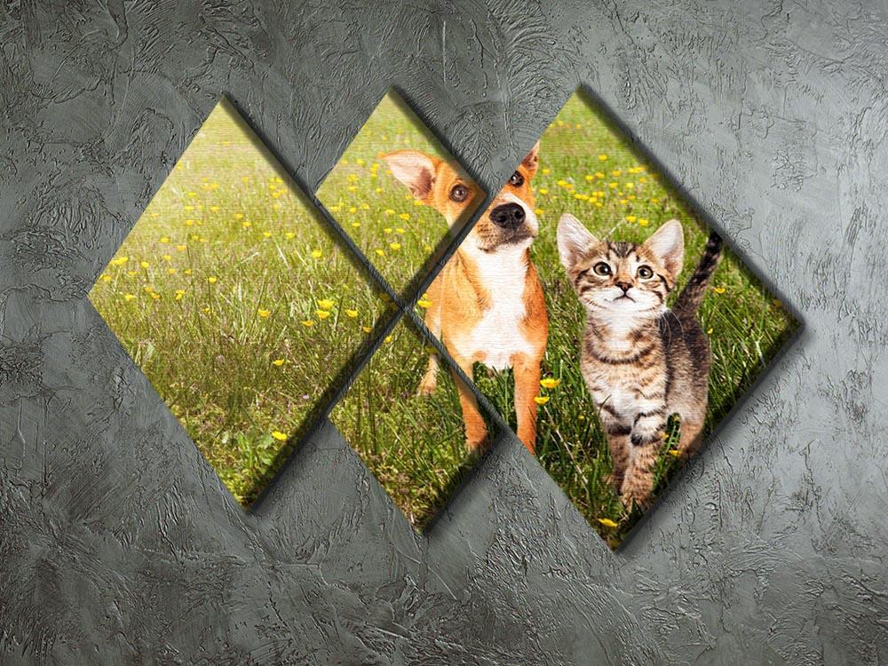 Cute kitten and puppy together in a field 4 Square Multi Panel Canvas - Canvas Art Rocks - 2