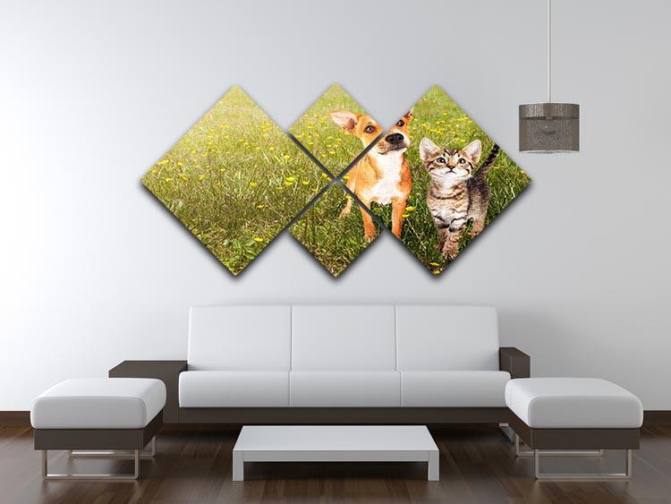 Cute kitten and puppy together in a field 4 Square Multi Panel Canvas - Canvas Art Rocks - 3