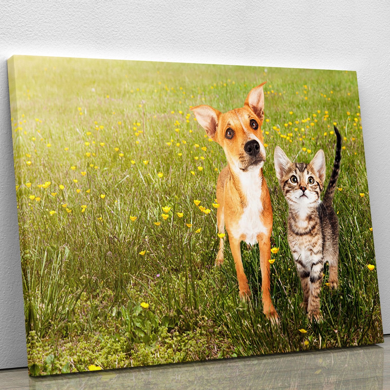Cute kitten and puppy together in a field Canvas Print or Poster