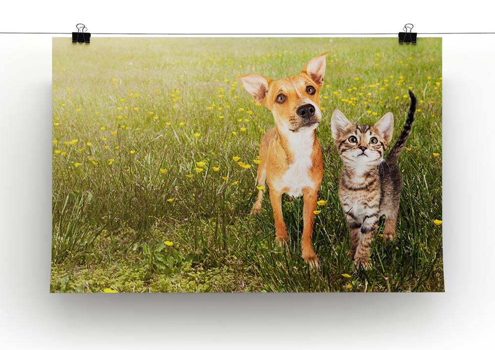 Cute kitten and puppy together in a field Canvas Print or Poster - Canvas Art Rocks - 2