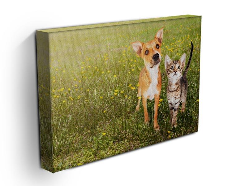 Cute kitten and puppy together in a field Canvas Print or Poster - Canvas Art Rocks - 3