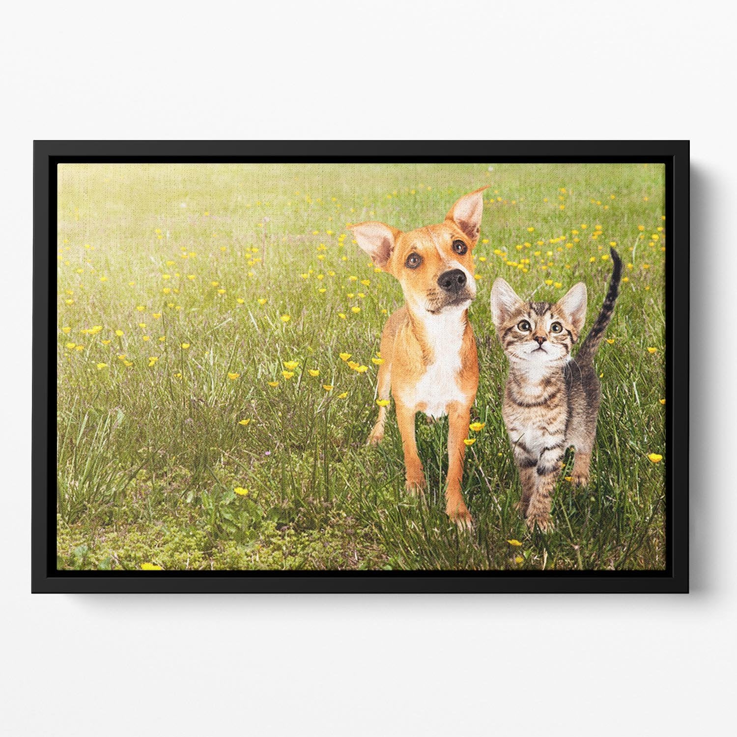 Cute kitten and puppy together in a field Floating Framed Canvas - Canvas Art Rocks - 2