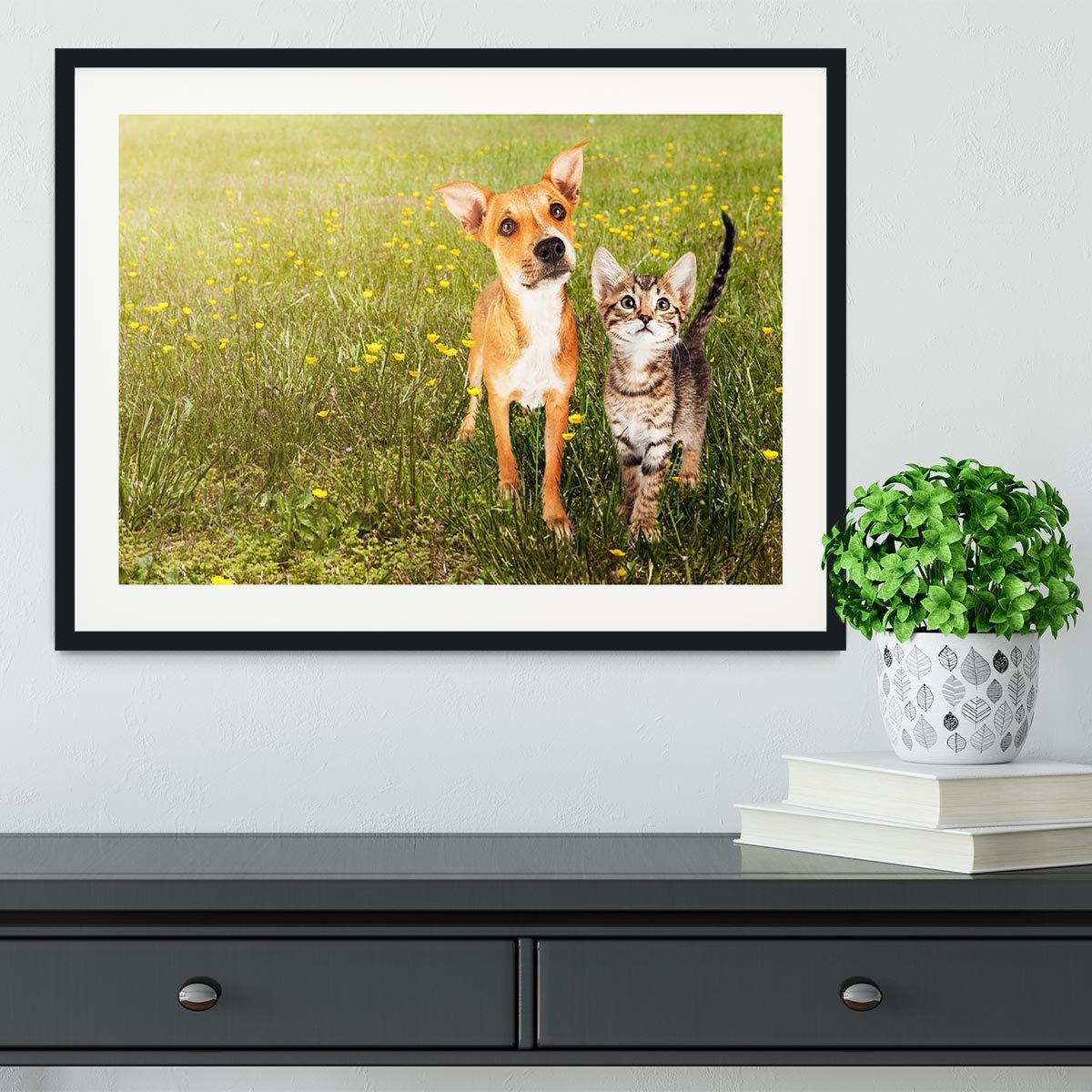 Cute kitten and puppy together in a field Framed Print - Canvas Art Rocks - 1