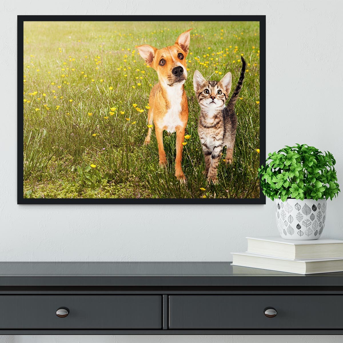 Cute kitten and puppy together in a field Framed Print - Canvas Art Rocks - 2
