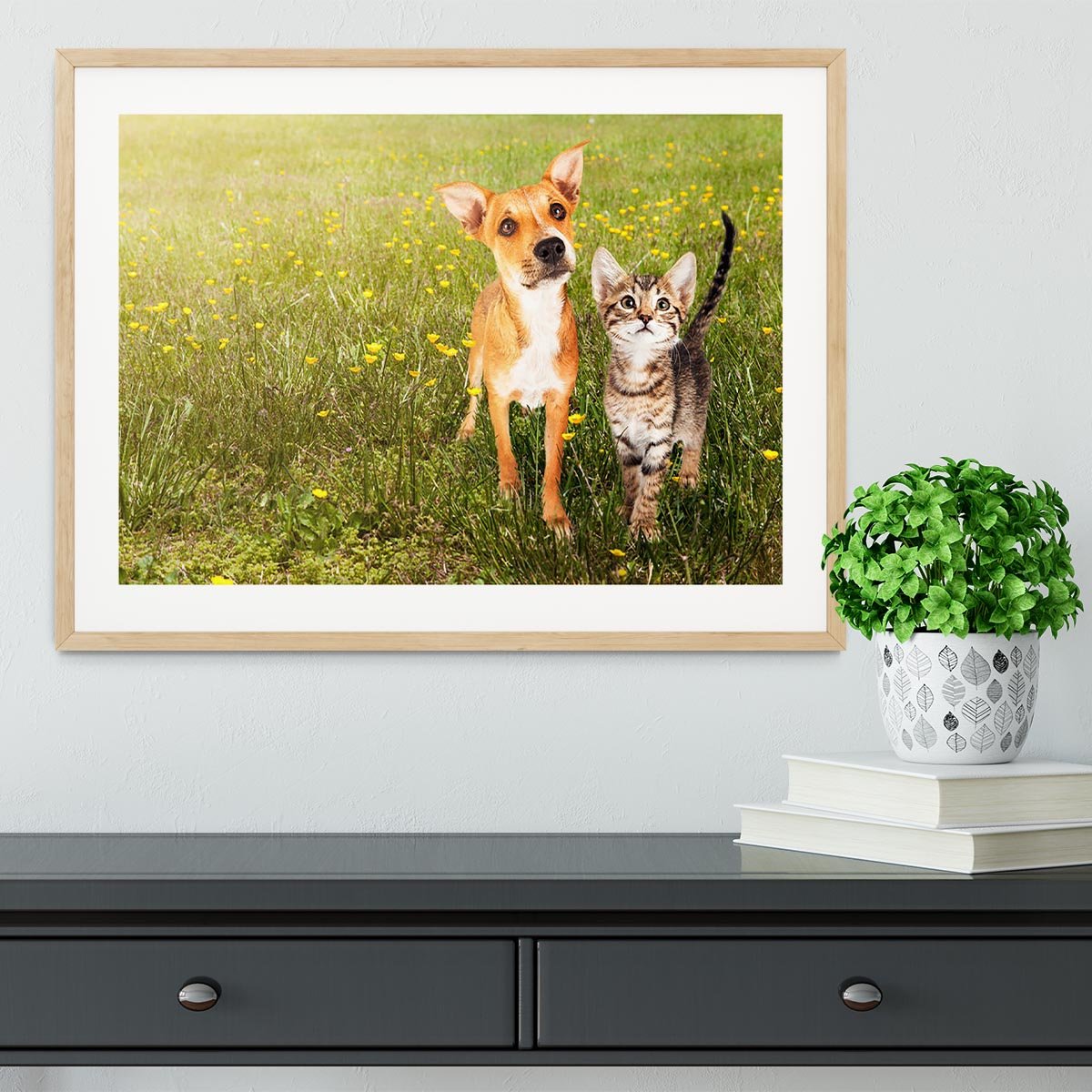 Cute kitten and puppy together in a field Framed Print - Canvas Art Rocks - 3
