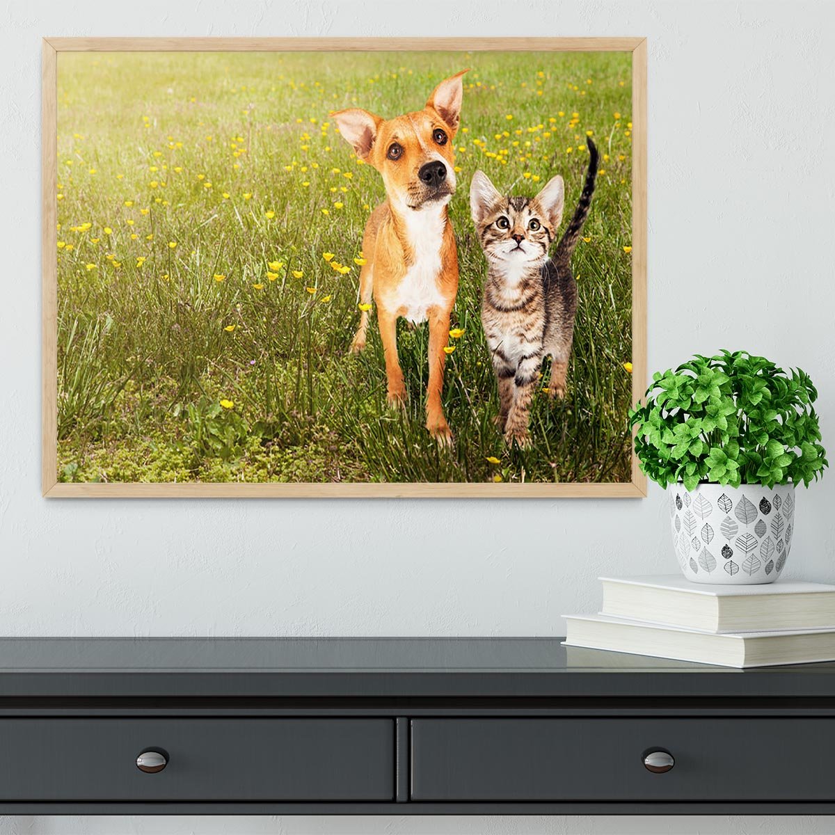 Cute kitten and puppy together in a field Framed Print - Canvas Art Rocks - 4