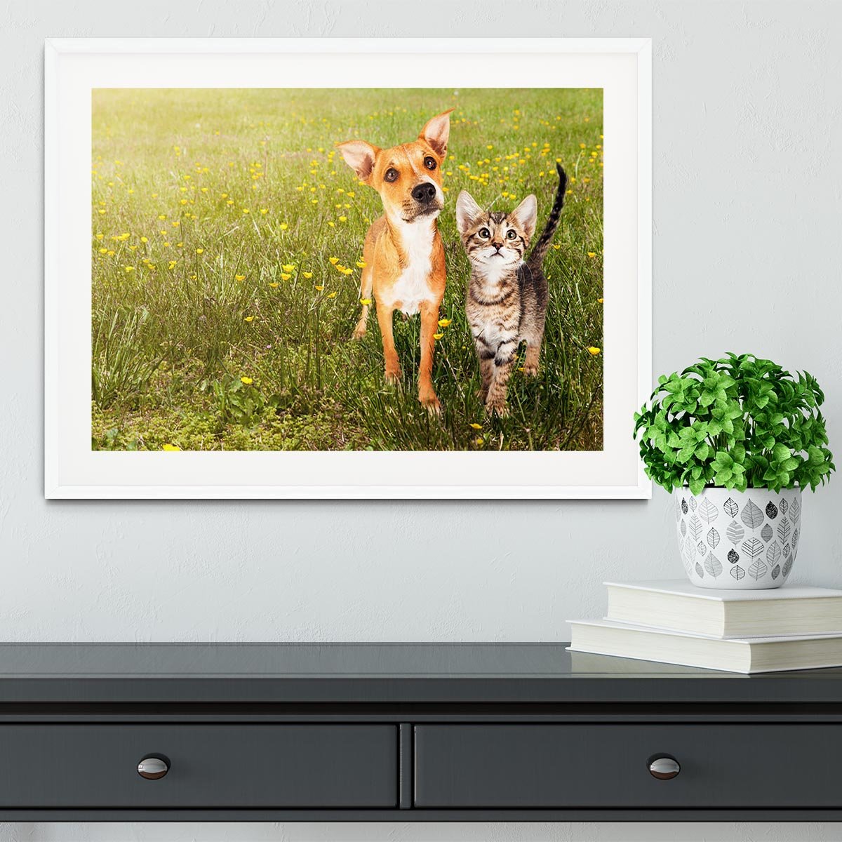 Cute kitten and puppy together in a field Framed Print - Canvas Art Rocks - 5