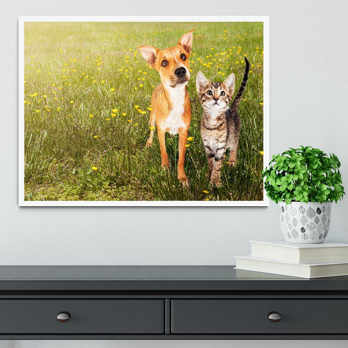 Cute kitten and puppy together in a field Framed Print - Canvas Art Rocks -6