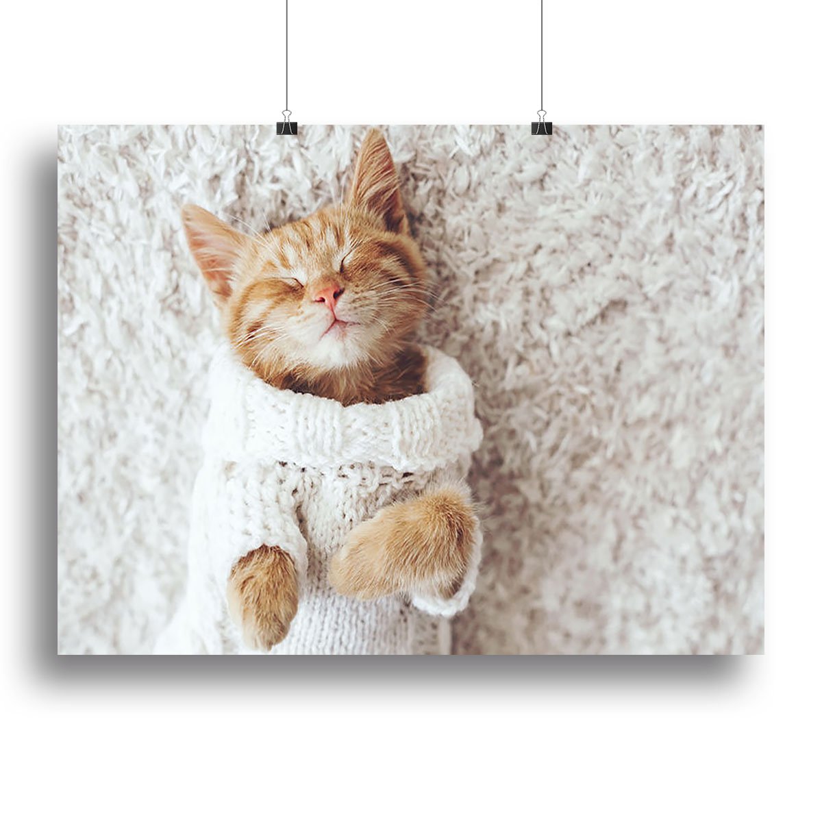 Cute little ginger kitten wearing warm knitted sweater Canvas Print or Poster