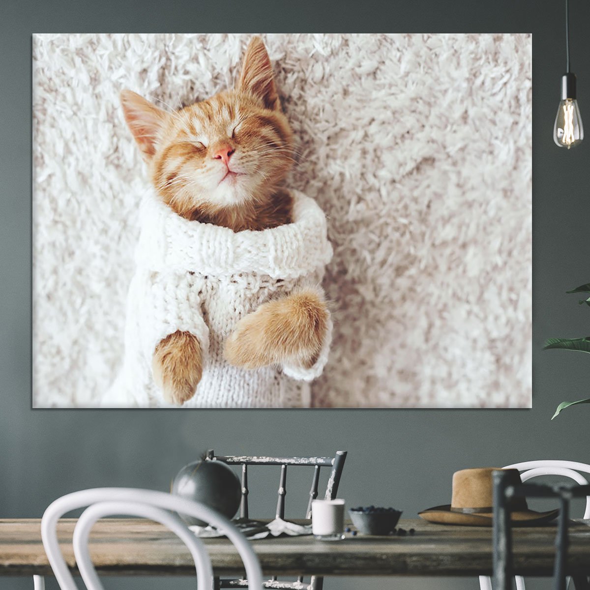 Cute little ginger kitten wearing warm knitted sweater Canvas Print or Poster