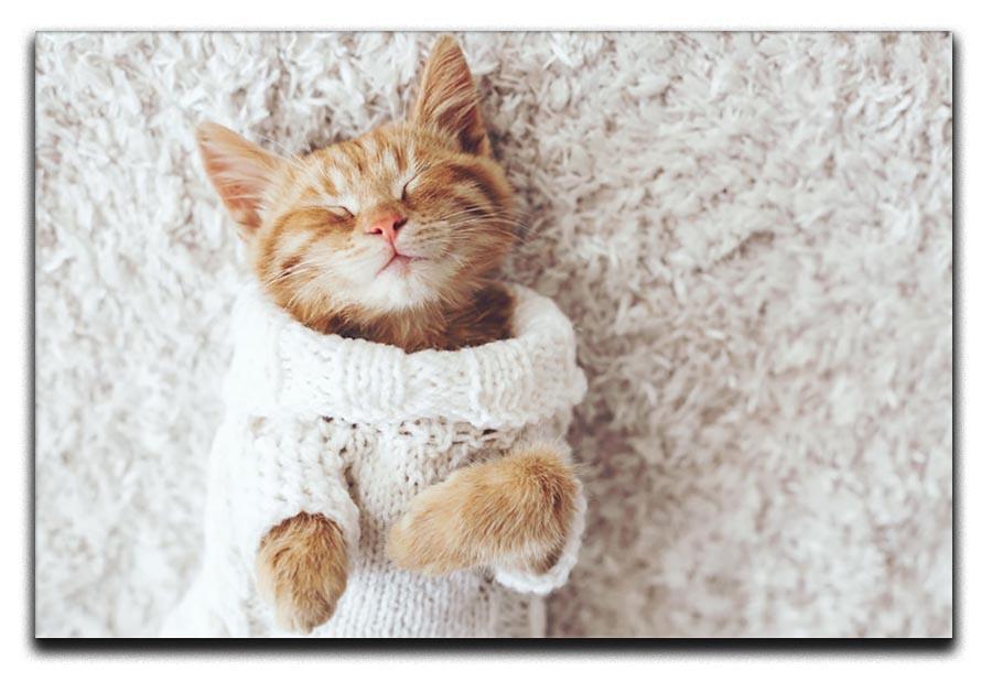 Cute little ginger kitten wearing warm knitted sweater Canvas Print or Poster - Canvas Art Rocks - 1
