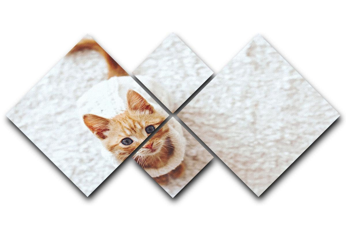 Cute little kitten wearing warm knitted sweater 4 Square Multi Panel Canvas - Canvas Art Rocks - 1