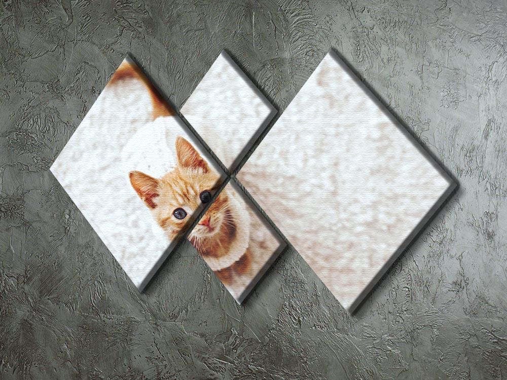 Cute little kitten wearing warm knitted sweater 4 Square Multi Panel Canvas - Canvas Art Rocks - 2