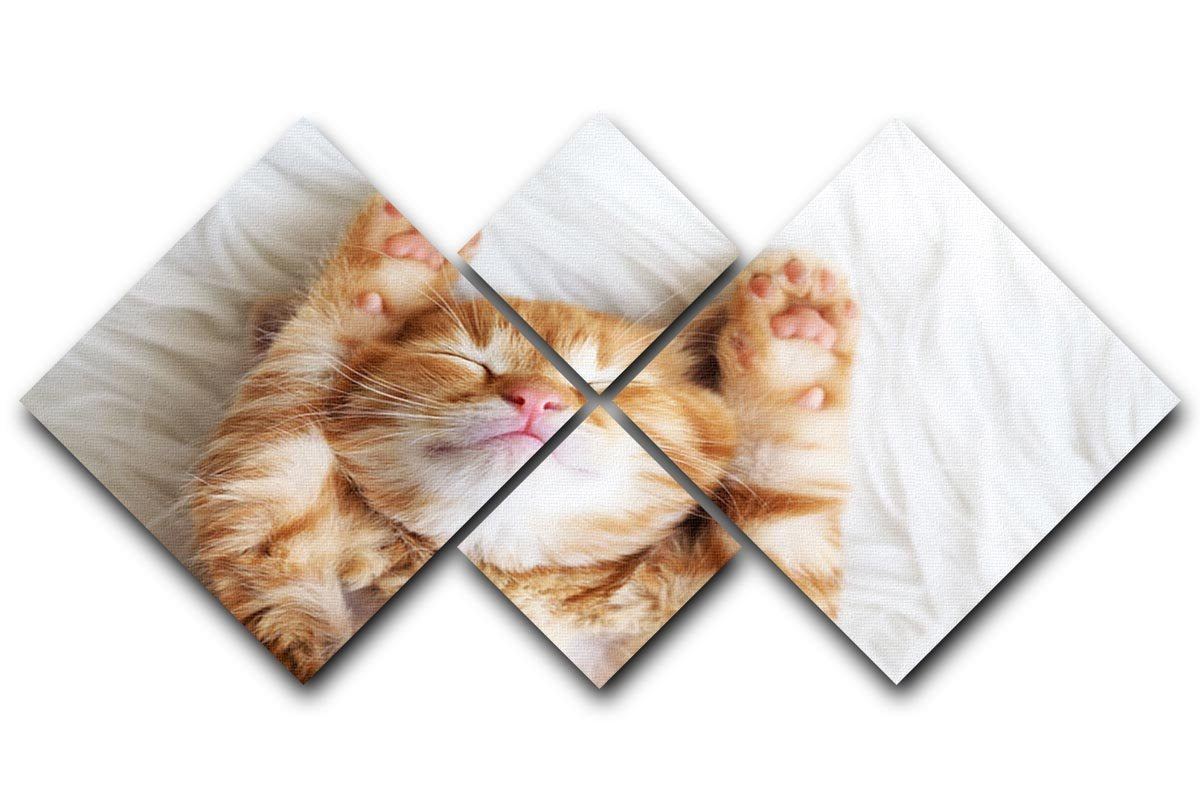 Cute little red kitten sleeps on fur white blanket 4 Square Multi Panel Canvas - Canvas Art Rocks - 1