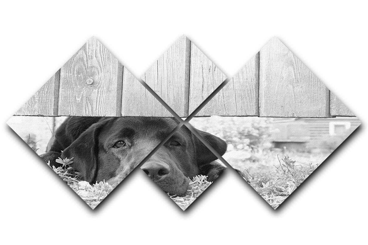 Cute sad dog waiting under the wooden fence 4 Square Multi Panel Canvas - Canvas Art Rocks - 1